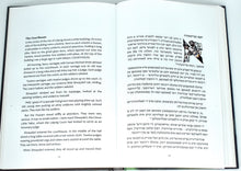 Load image into Gallery viewer, The Clever Little Tailor by Solomon Simon